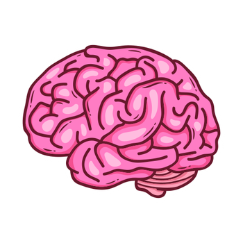 1 (58).png